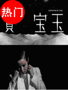 熱何韻詩(shī)林奕華舞臺(tái)劇《賈寶玉》