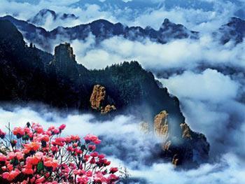 中國(guó)神農(nóng)架生態(tài)旅游節(jié)