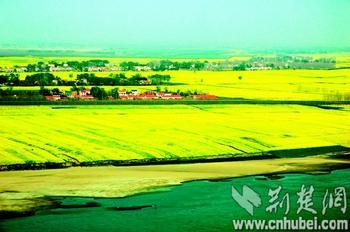 中國(guó)農(nóng)谷荊門油菜花旅游節(jié)