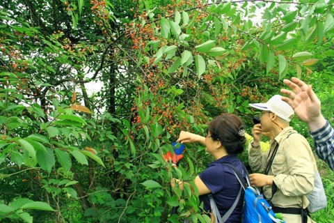 黃袍山紅色文化旅游節(jié)