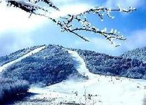 神農(nóng)架國際滑雪節(jié)