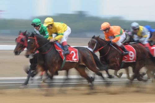 2017武漢速度賽馬公開賽年度總決賽